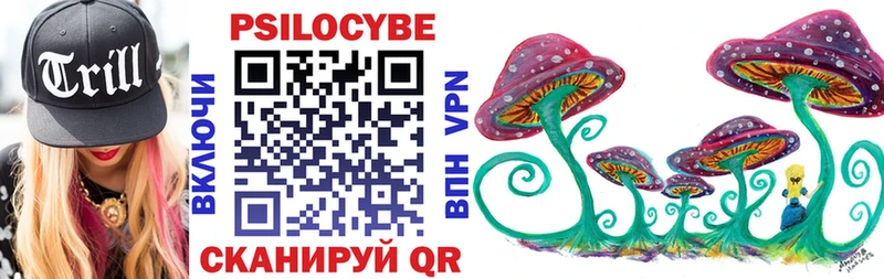 МЕГА ССЫЛКА  Жердевка  Псилоцибиновые грибы Magic Shrooms 