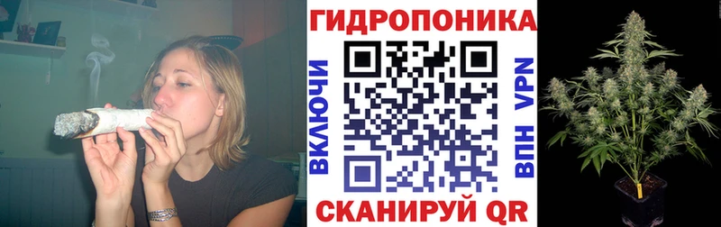 Шишки марихуана тримм где купить наркотик Жердевка